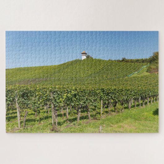 Puzzle Vignobles de Meersburg (Horizontal)