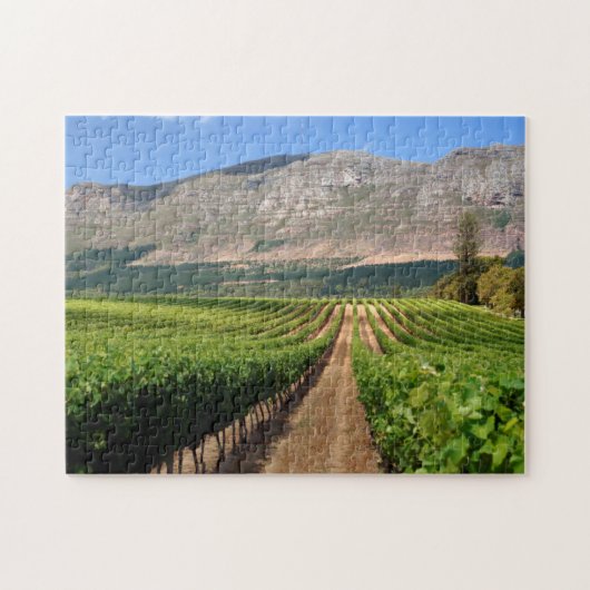 Puzzle Vignobles du domaine viticole Groot Constantia (Horizontal)