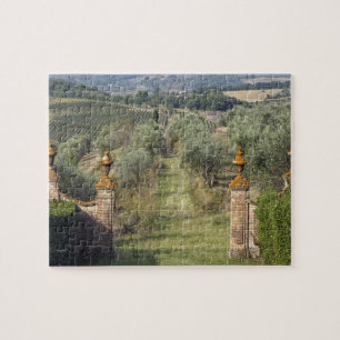 Puzzle Vignobles, Toscane, Italie