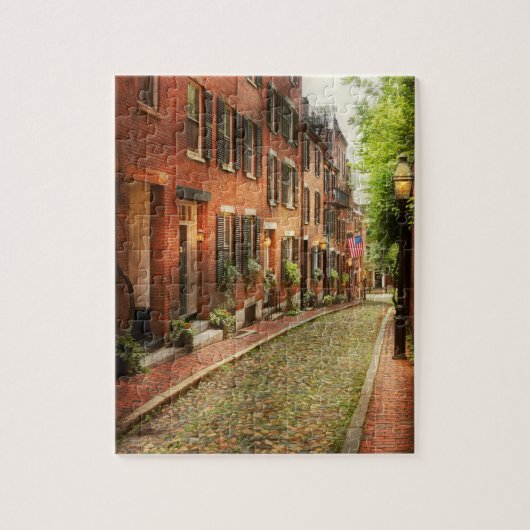 Puzzle Ville - Boston mA - rue de gland (Vertical)