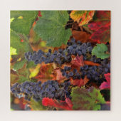 Puzzle Vin Raisin de récolte (Horizontal)