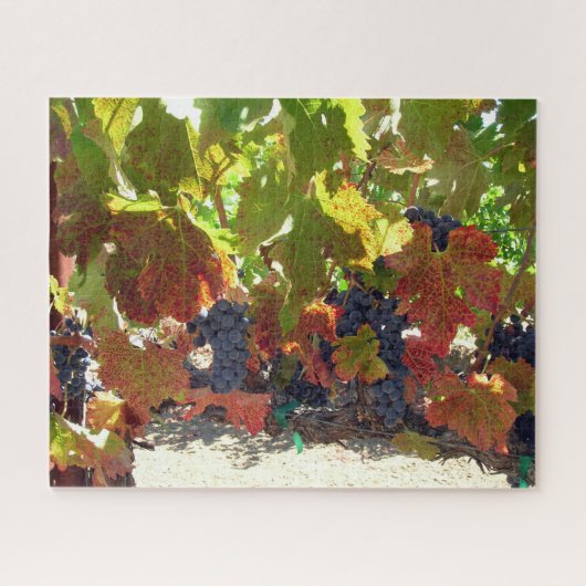 Puzzle - Vins de raisin (Horizontal)