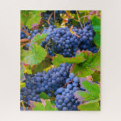 Puzzle Vins de raisins noirs, Vignoble (Vertical)