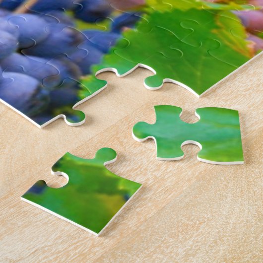 Puzzle Vins de raisins noirs, Vignoble (Côté)