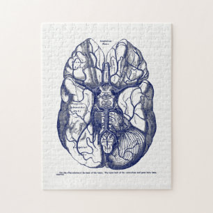 Puzzle Vintage Anatomy Arteries of the Human Brain Navy