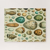 Puzzle Vintage Bird Eggs French Fish Egg (Horizontal)
