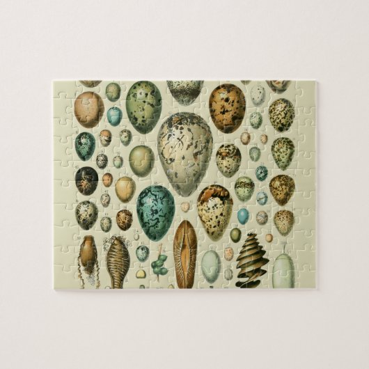 Puzzle Vintage Bird Eggs French Fish Egg (Horizontal)