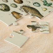 Puzzle Vintage Bird Eggs French Fish Egg (Côté)