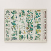 Puzzle Vintage Botanical Chart: Economical Uses of Plants (Horizontal)