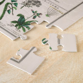 Puzzle Vintage Botanical Chart: Leaves and Flowers (Côté)