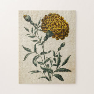 Puzzle Vintage Botanique Floral Africain Marigold