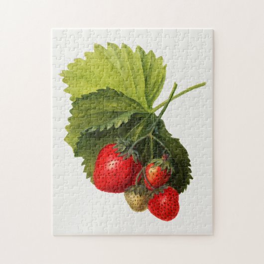 Puzzle Vintage Bunch of Strawberries Aquarelle Peinture (Vertical)
