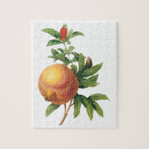 Puzzle Vintage Food Fruit, Pomegranate by Redoute