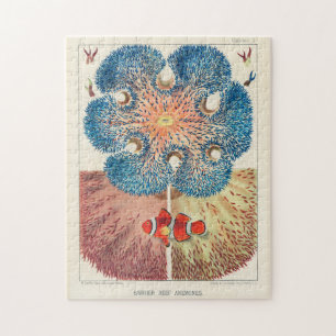 Puzzle Vintage Grande barrière récif Anémones Carol Fi