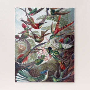 Puzzle Vintage Hummingbirds Vieux livre Illustration Art