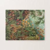 Puzzle Vintage Illustration of plants/mushrooms (Horizontal)