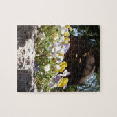 Puzzle Violas Dans Un Auge De Pierre. (Horizontal)