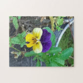 Puzzle violet et jaune (Horizontal)