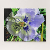 PUZZLE VIOLET PANSY (Horizontal)