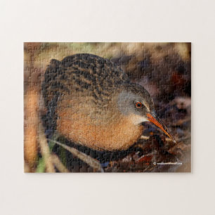 Puzzle Virginia Rail dans le sous-brosse