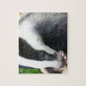Puzzle Visage de Badger européen (Vertical)