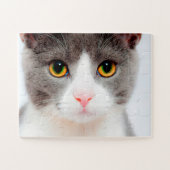 Puzzle Visage de chat blanc, chat facile (Horizontal)