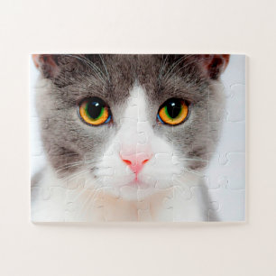 Puzzle Visage de chat blanc, chat facile