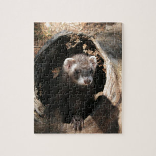 Puzzle Visage de furet