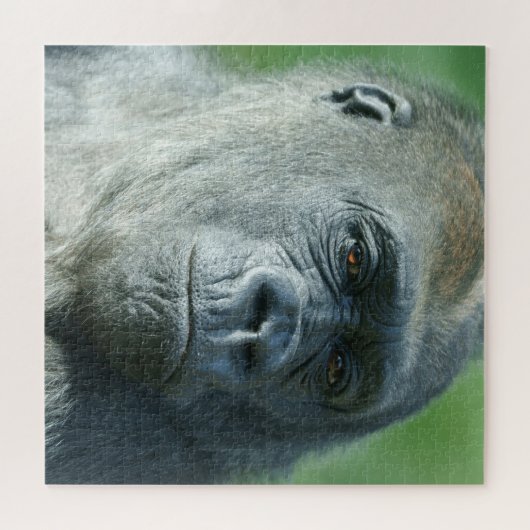 Puzzle Visage de Gorilla (Horizontal)
