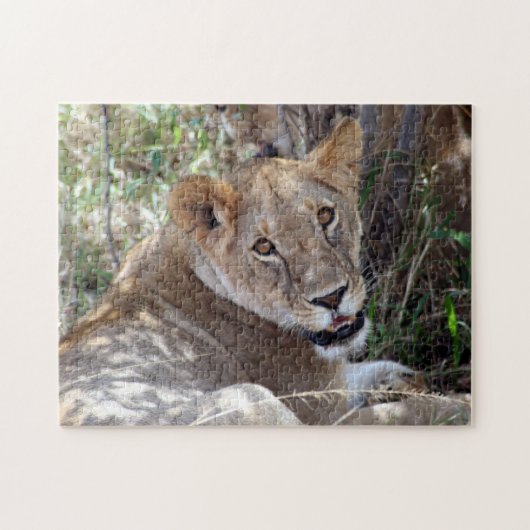 Puzzle visage de lion (Horizontal)