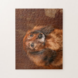 Puzzle Visage de teckel