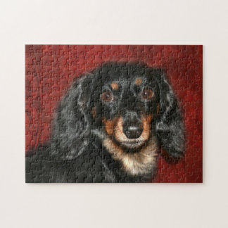 Puzzle Visage de teckel