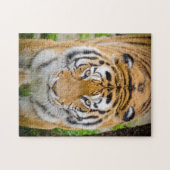 Puzzle Visage de tigre (Horizontal)