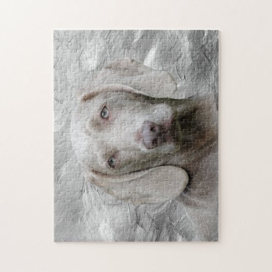 Puzzle Visage Weimaraner (Vertical)