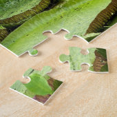 Puzzle Vitoria Regis, nénuphars géants de l'Amazonie (Côté)