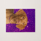 Puzzle Vizsla - chiot hongrois d'indicateur sur le (Horizontal)