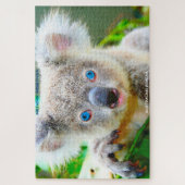 Puzzle Voeux d'anniversaire Koalas australienne (Vertical)