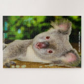 Puzzle Voeux d'anniversaire Koalas australienne (Horizontal)