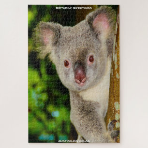 Puzzle Voeux d'anniversaire Koalas australienne