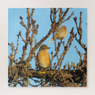 Puzzle - Vogels in takken Legpuzzel