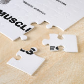 Puzzle Voici ce que j'appellerais les muscles bien (Côté)