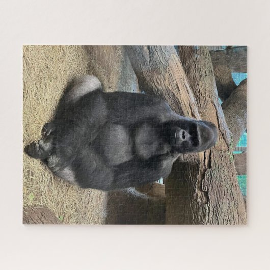 PUZZLE VOUS GROG GORILLA (Horizontal)