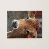 Puzzle Vous ne me pensez pas suis jolie vache du Jersey (Horizontal)