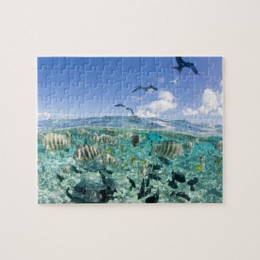 Puzzle voyage safari dans un lagon avec des raies (Horizontal)