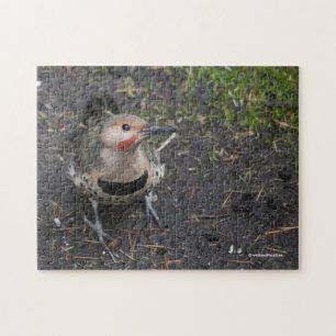 Puzzle Vue à vol d'oiseau du pic flamboyant
