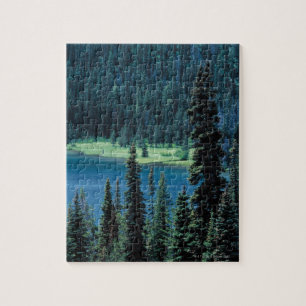 Puzzle Vue aérienne de parc national grand de Teton,