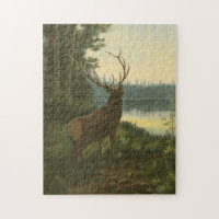 Vue arrière du lac Elk Vue sur un lac