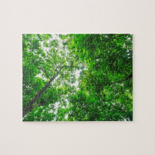 Puzzle Vue ascendante d'arbres (Horizontal)