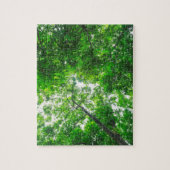 Puzzle Vue ascendante d'arbres (Vertical)