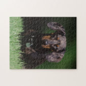 Puzzle Vue de Dachshund couleur panachée (Horizontal)